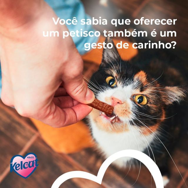 Petisco Keldog Dental Bio Fresh Bolinha para Cães 350g